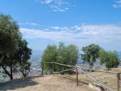 03-monsummano-alto-L