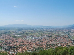07-monsummano-alto-L